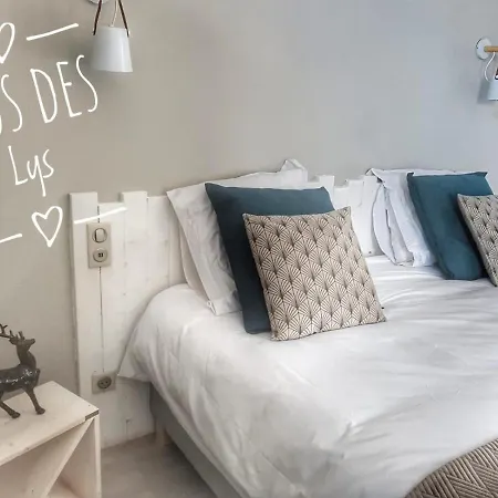 Le Clos Des Lys - Avec Jacuzzi - Nemours B&B