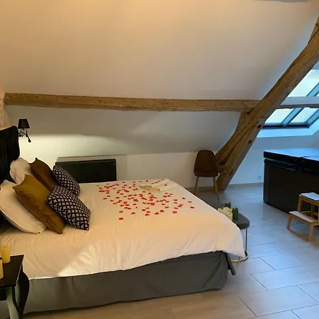 Le Clos Des Lys - Avec Jacuzzi - Nemours